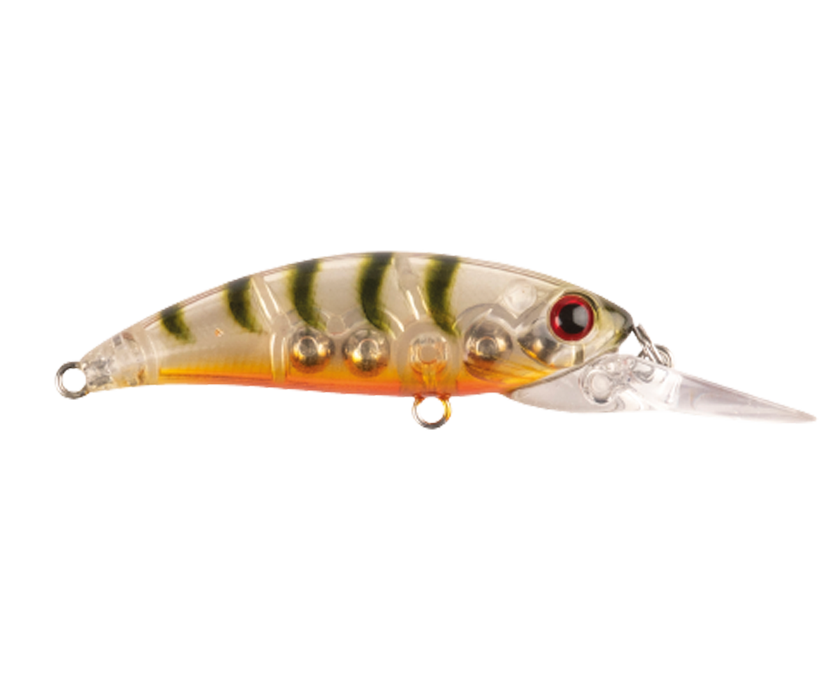 Zıpır U-13 Ghost Shrimp