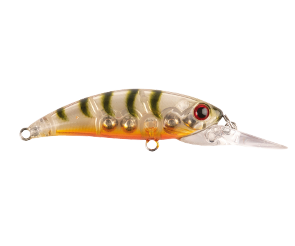 Zıpır U-13 Ghost Shrimp