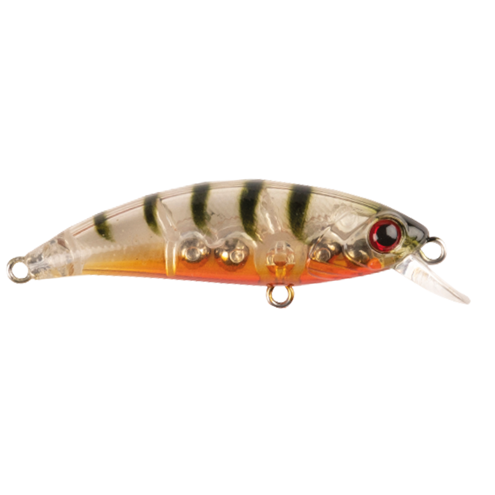 Zıpır K-13 Ghost Shrimp