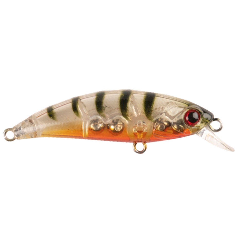 Zıpır K-13 Ghost Shrimp